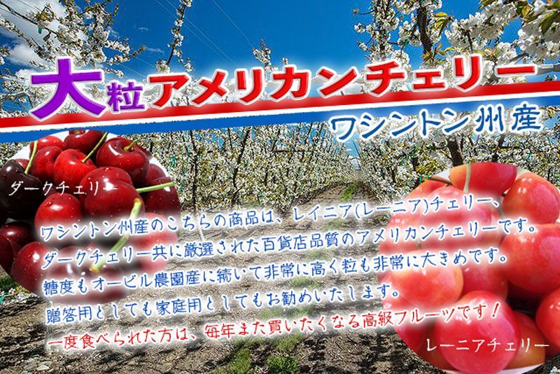 特選 大粒レイニアチェリー