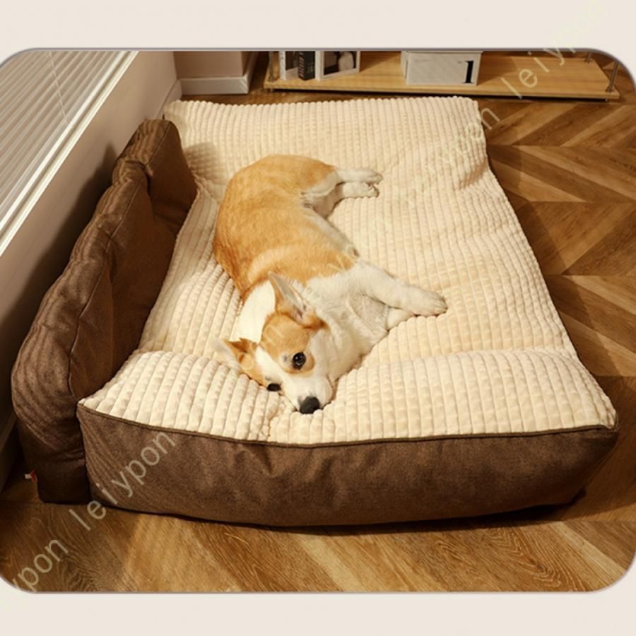 大型犬 通年タイプ