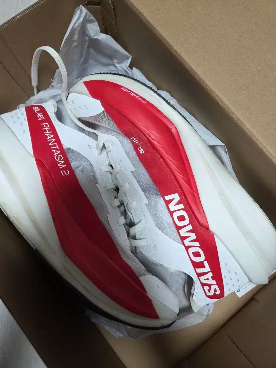 SALOMON サロモン ファンティズム 2 265