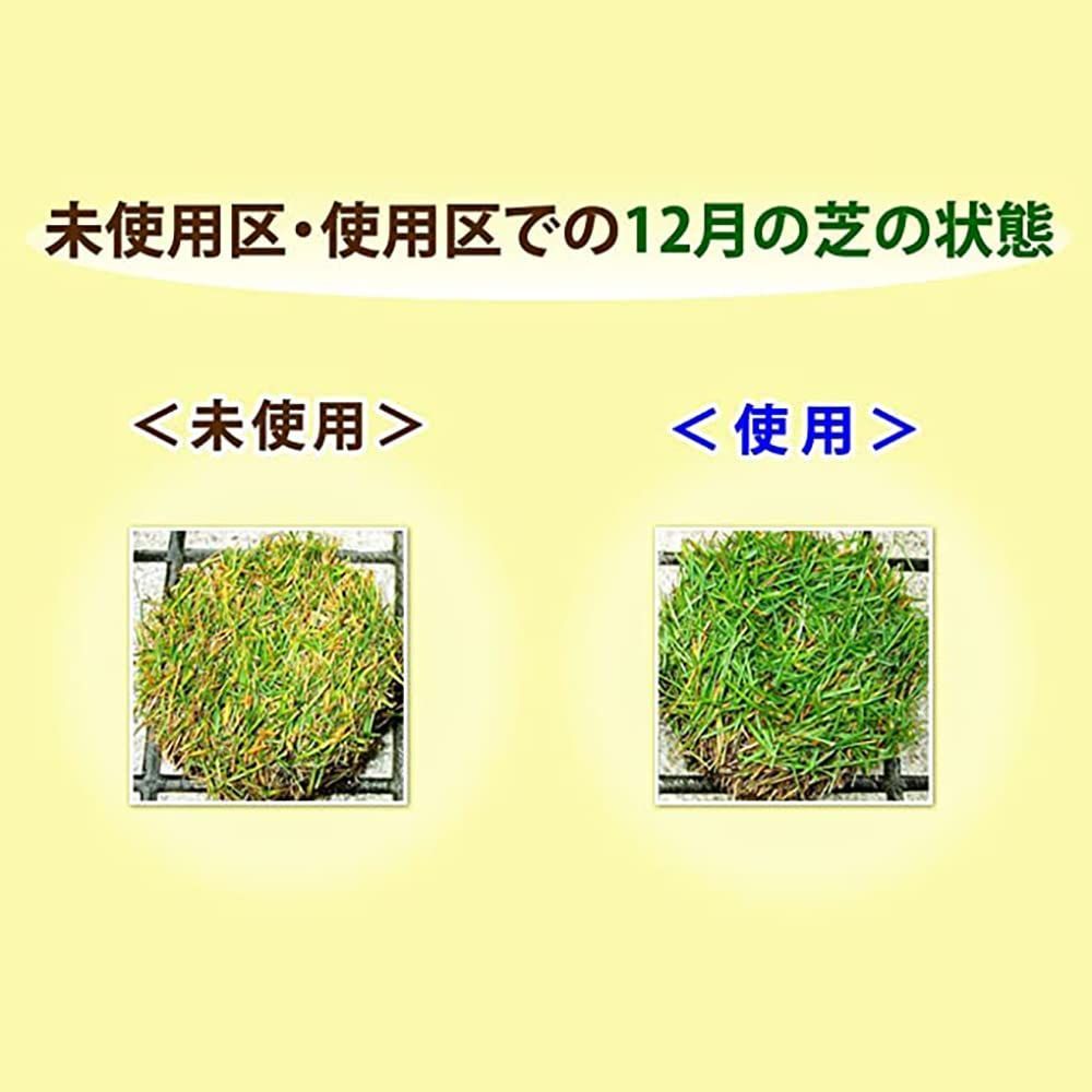 【在庫処分】イデコンポガーデンEV 3kg 芝生 肥料 土壌改良剤 サッチ分解促進