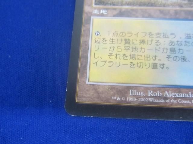 トレカ マジック：ザ・ギャザリング ONS-316 溢れかえる岸辺