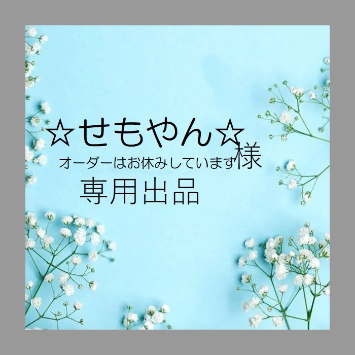 ☆せもやん☆ オーダーはお休みしています様専用出品です。 - メルカリ