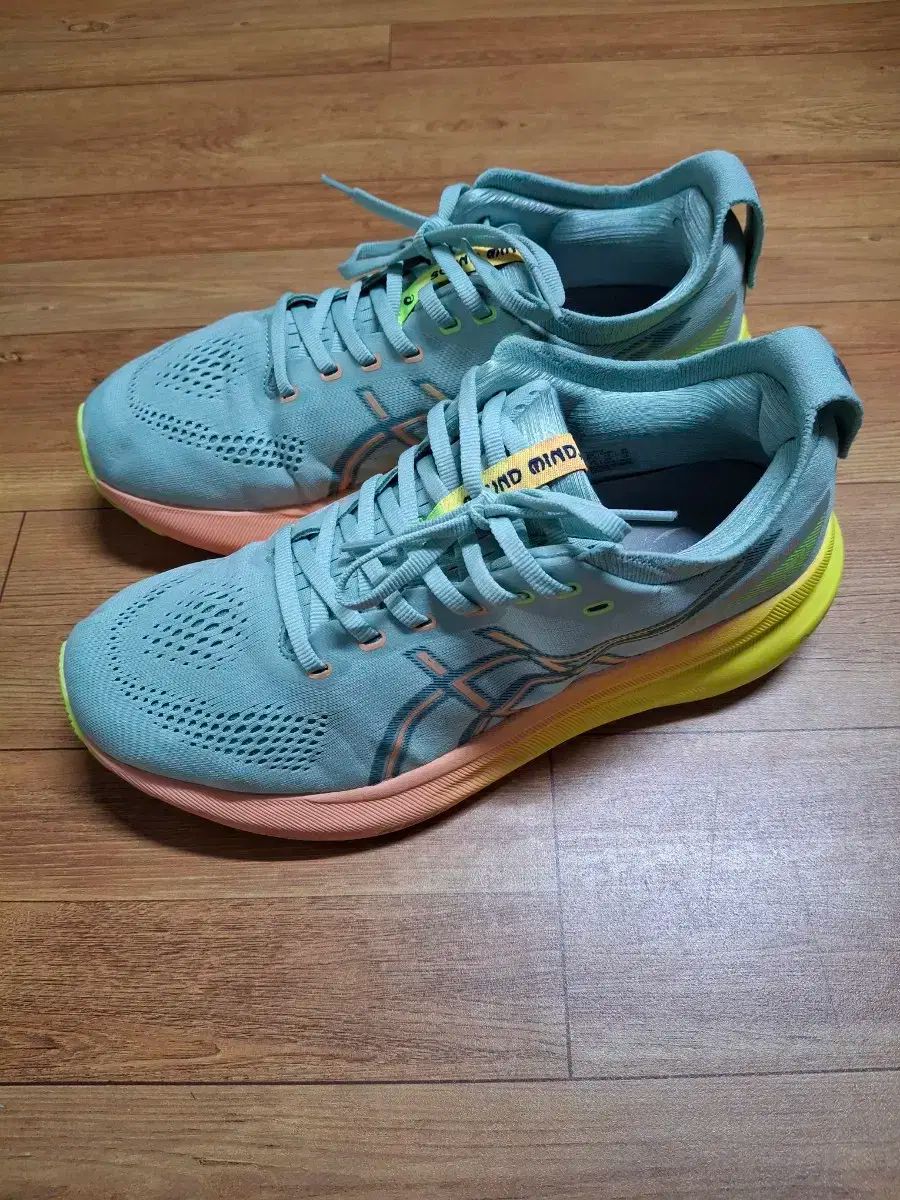 265 Asics アシックス ゲル カヤノ 31 ランニングシューズ スニーカー 4124