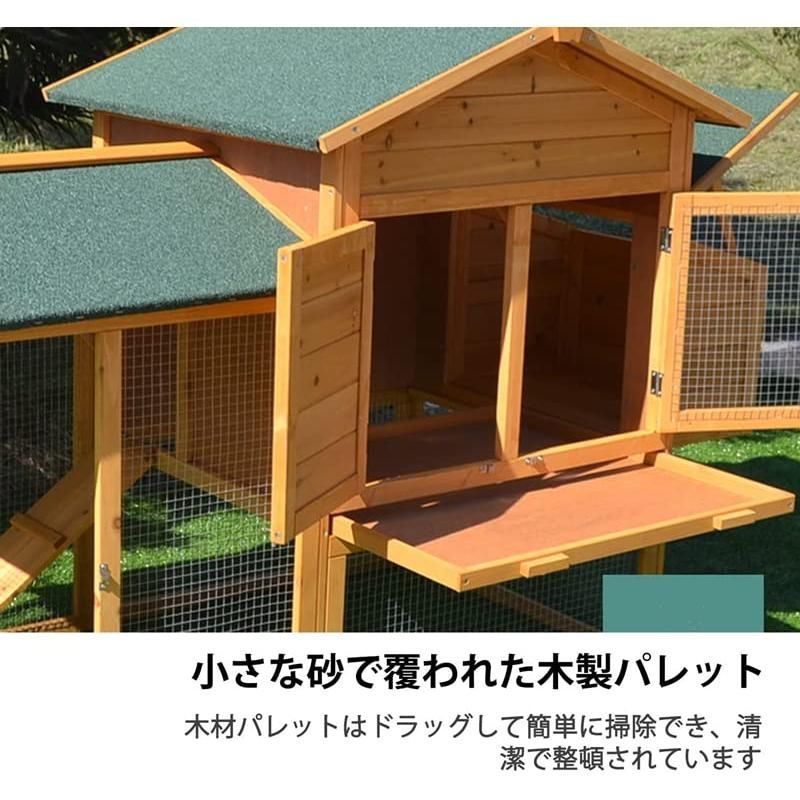 猫の巣