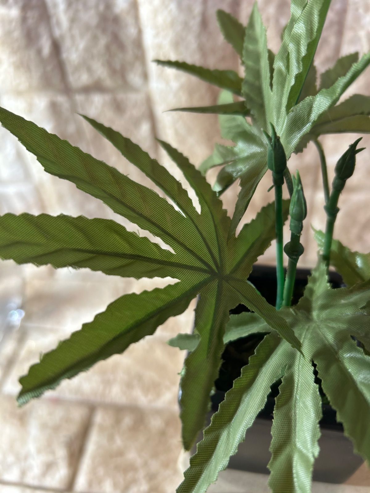 光触媒 人工観葉植物 マリファナ 草 大麻 CBD 123 - メルカリ 光触媒 人工観葉植物 マリファナ 草 大麻 CBD 123 - メルカリ