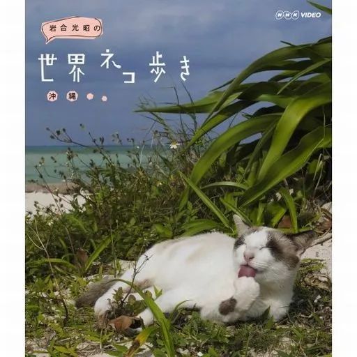 (未使用･未開封品)　岩合光昭の世界ネコ歩き 台湾　ブルーレイ v1yptgt 岩合光昭の世界ネコ歩き 山口 ブルーレイ -NHKグループ公式通販