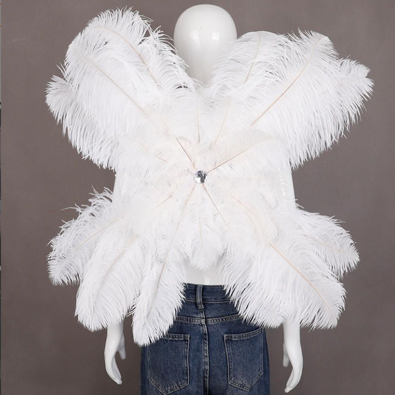 ハロウィンの羽の羽カーニバルの衣装クリスマスの衣装仮装パーティの 卒業シーズンのプレゼントです