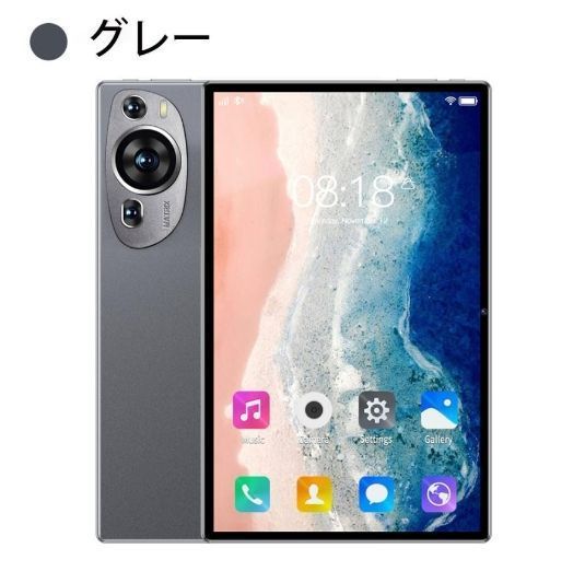 本体