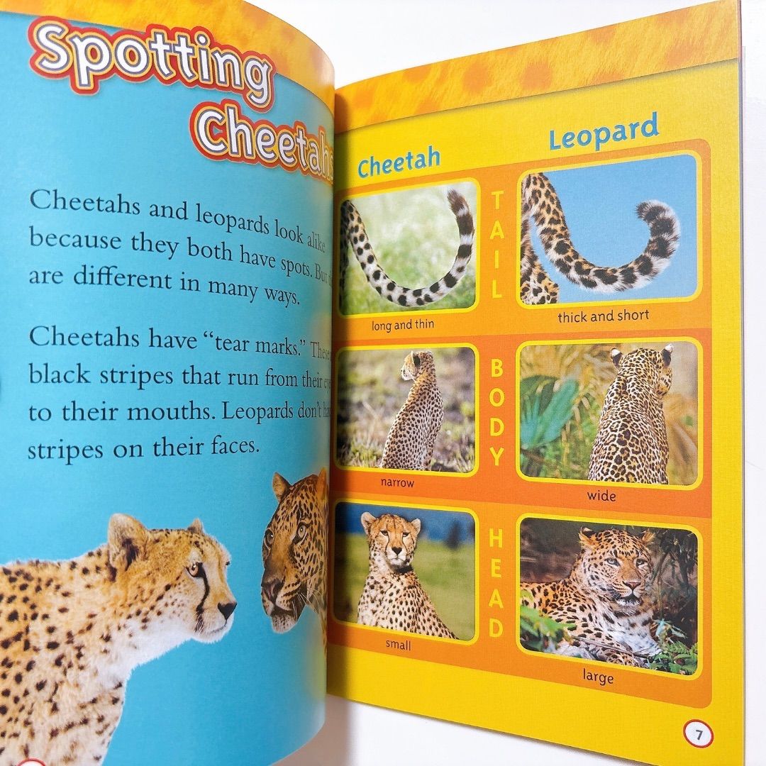 National Geographic Kids レベル2の全41冊 英語絵本 National