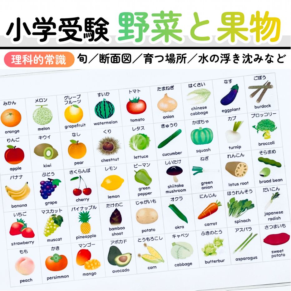 野菜と果物 小学校受験教材 理科的常識 幼児教育 知育 断面図 旬の季節 - メルカリ