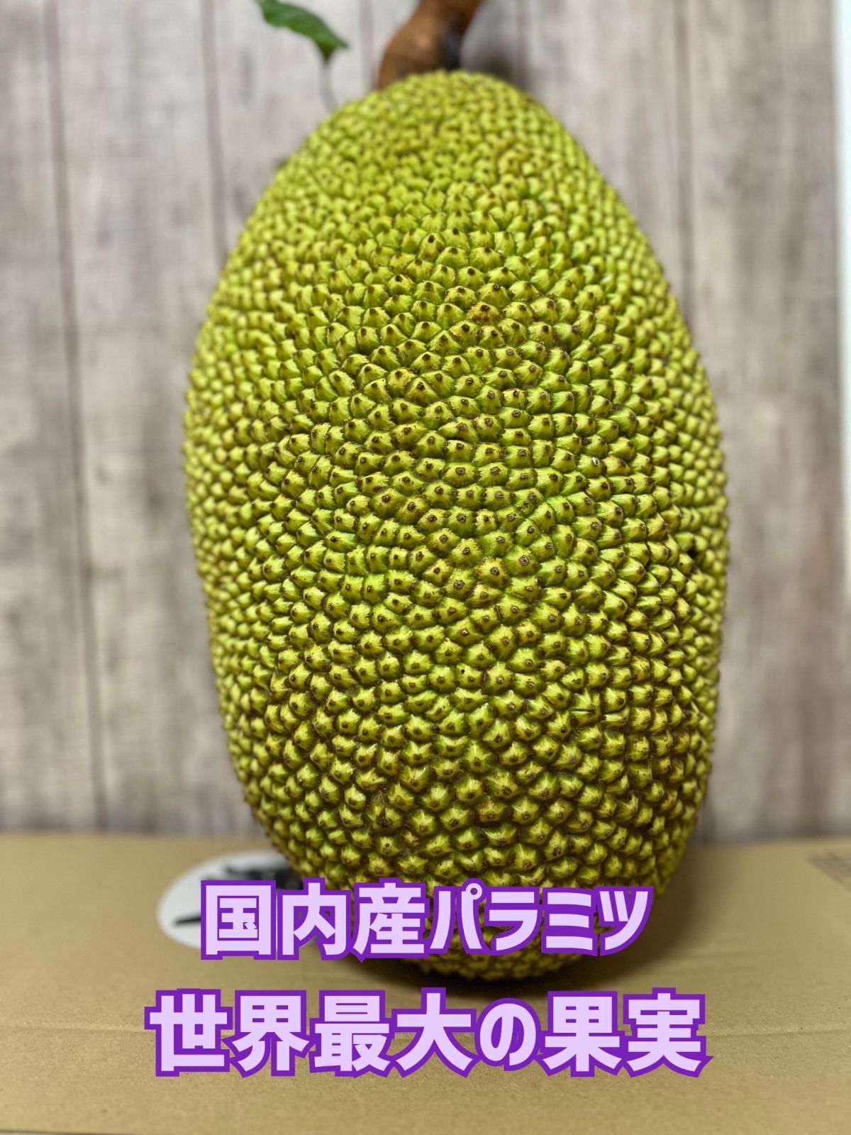 パラミツ 沖縄産・無農薬（ジャックフルーツ）６キロ - 果物