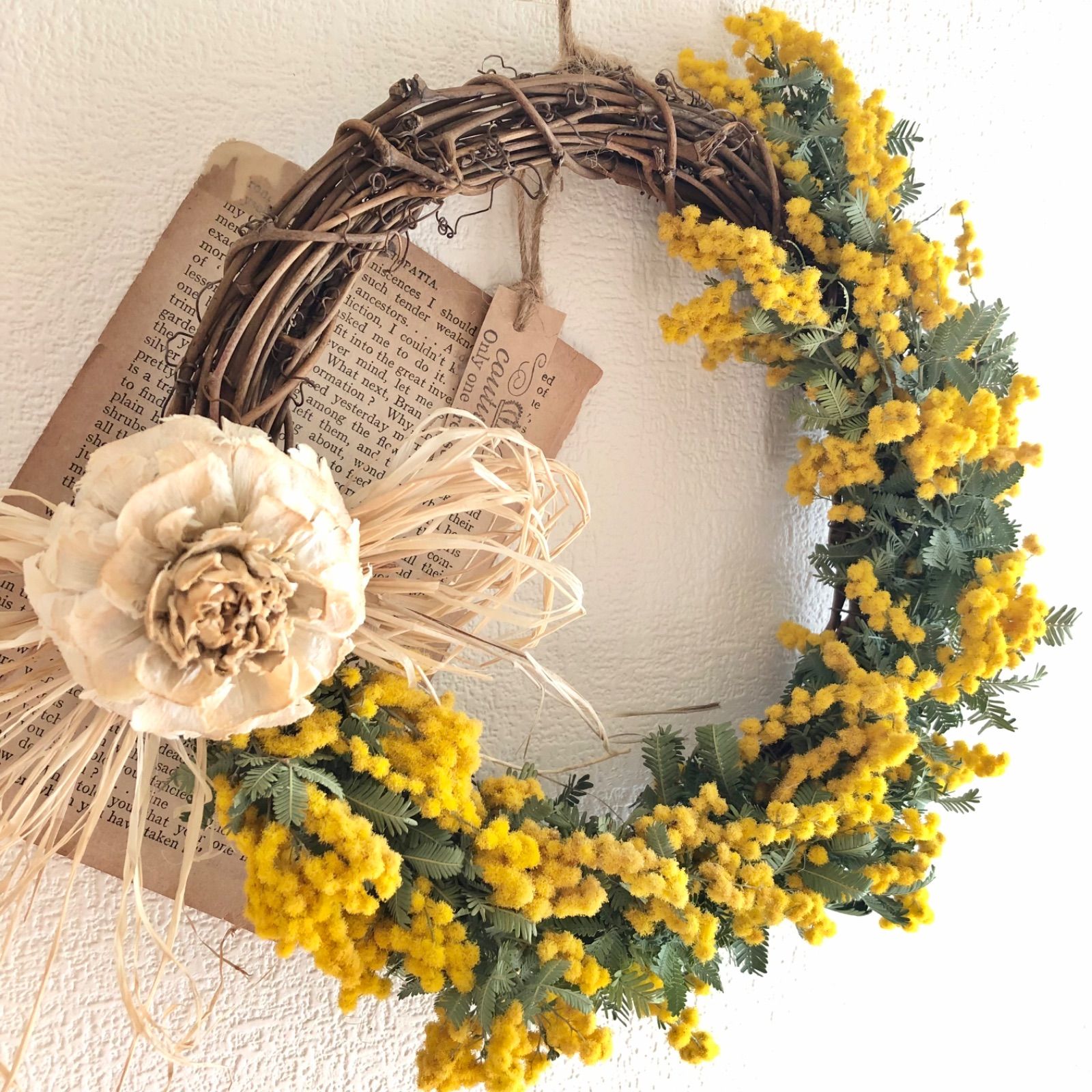 ミモザリースju