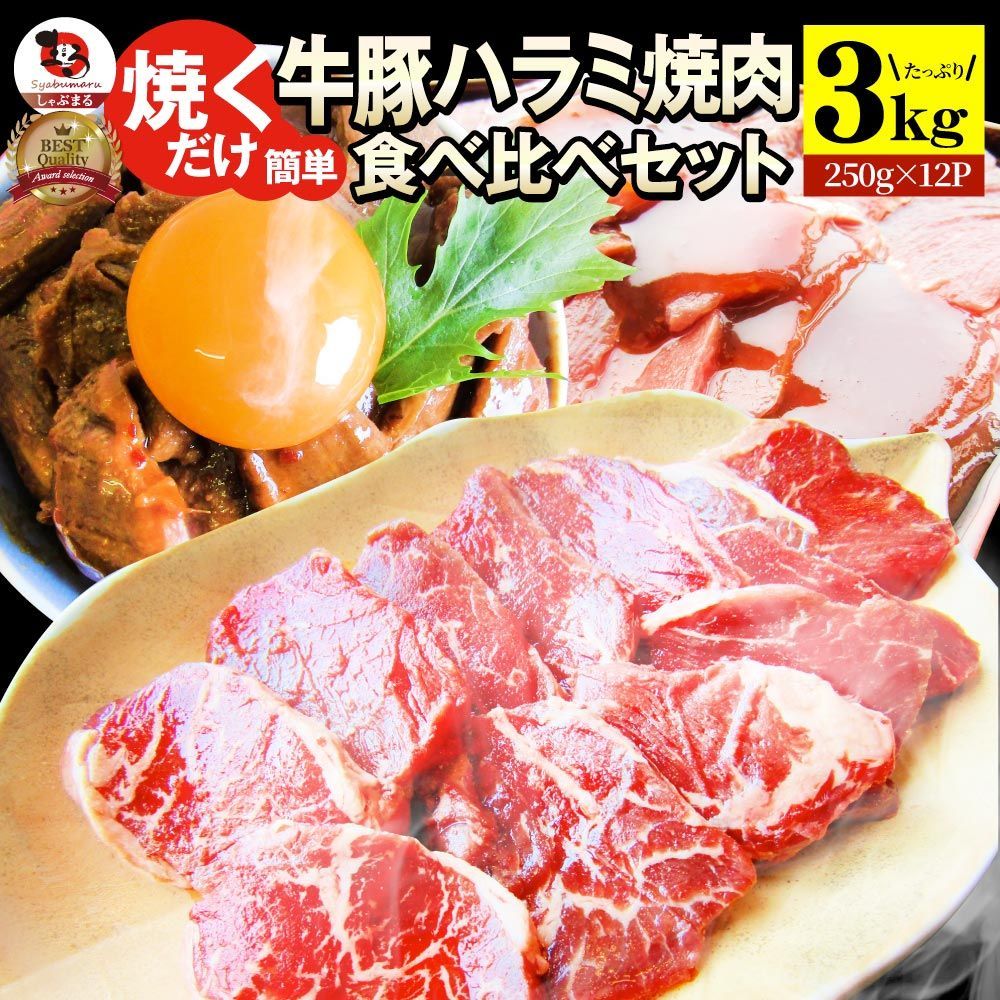 ハラミ 食べ比べ 牛肉 豚肉 焼肉 メガ盛り 3kg(250g×12) 赤身 はらみ バーベ キュー 美味しい ホワイトデー ギフト 食品 プレゼント 女性 男 性 お祝い あす楽