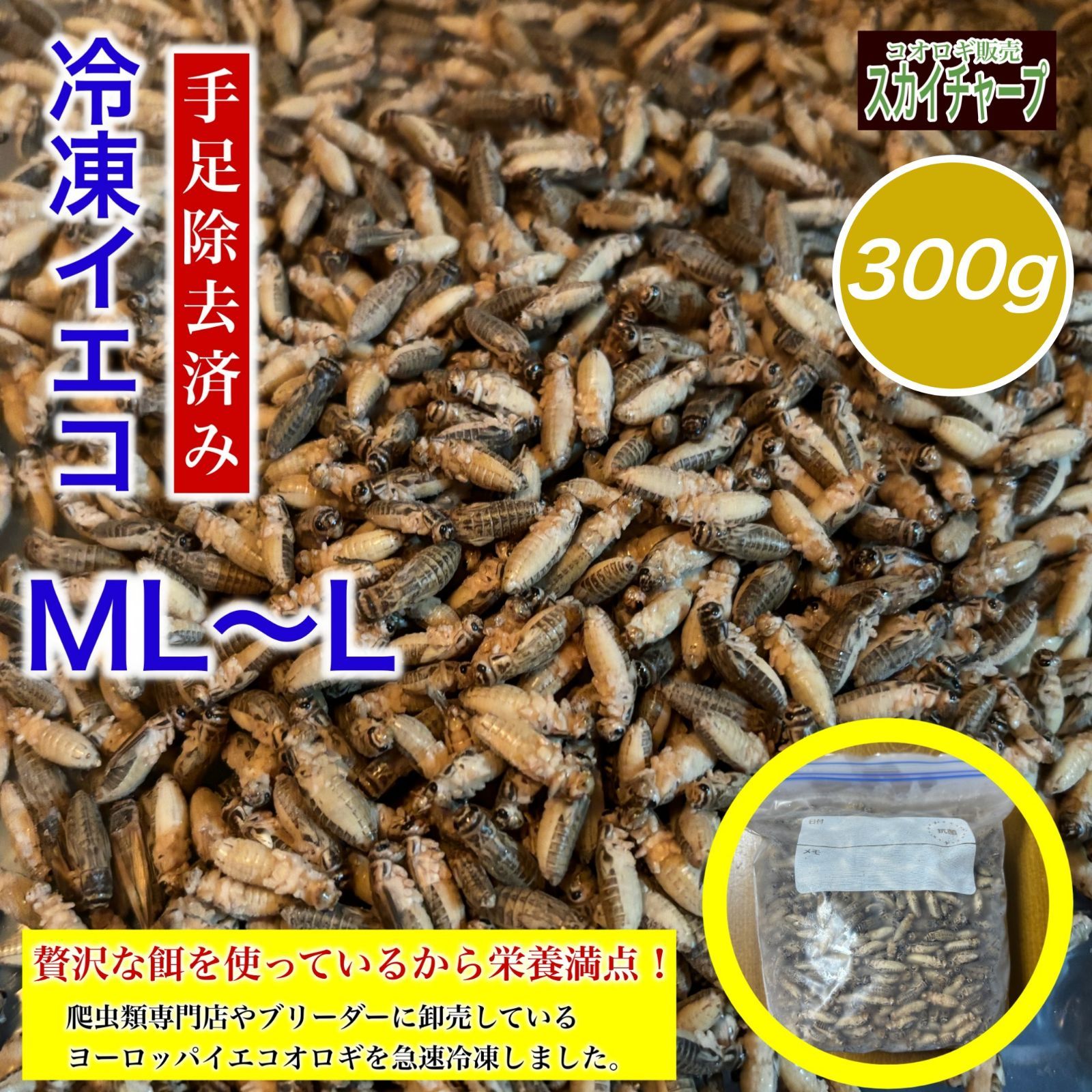 冷凍アダルトラットL及びヨーロッパイエコオロギL （冷凍☆富
