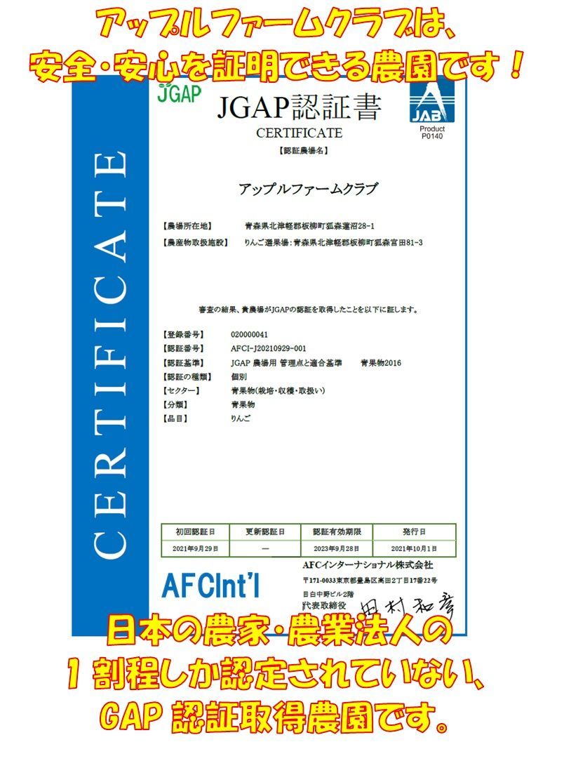 Alifの送料ページ ご家庭用 サンふじ(葉取らずふじ)15kg（54個～60個程度） 《アップル