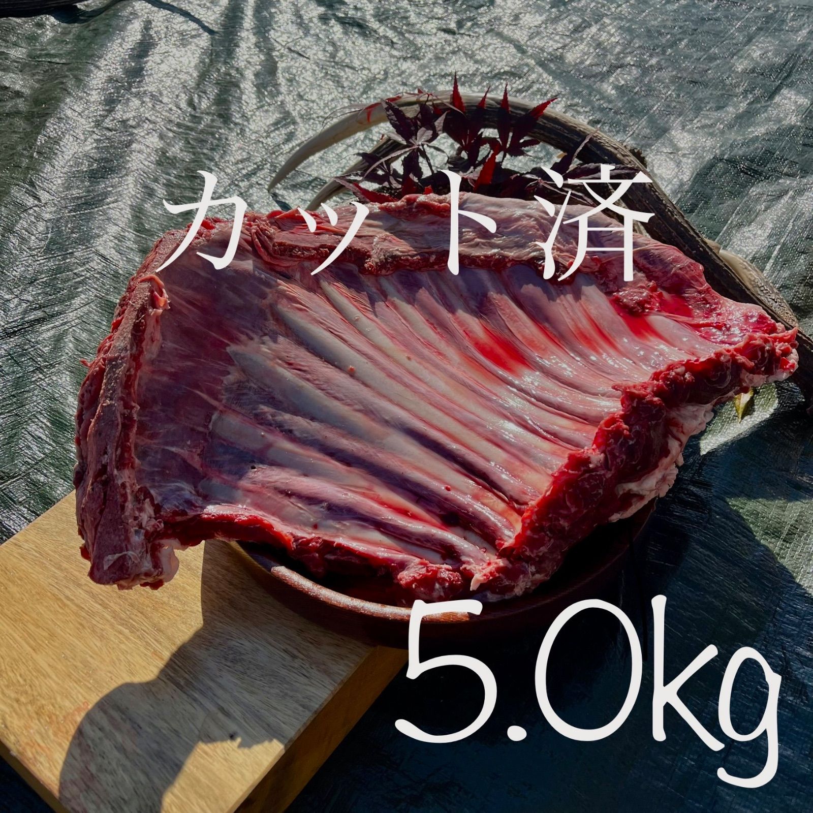 5.0kgサイズ 鹿肉 冷凍あばら骨 スペアリブ リブボーン あばら骨 ジビエ 鹿ジャーキー エゾシカ ドッグフード 犬のおやつ 大型犬 中型犬 シカ肉
