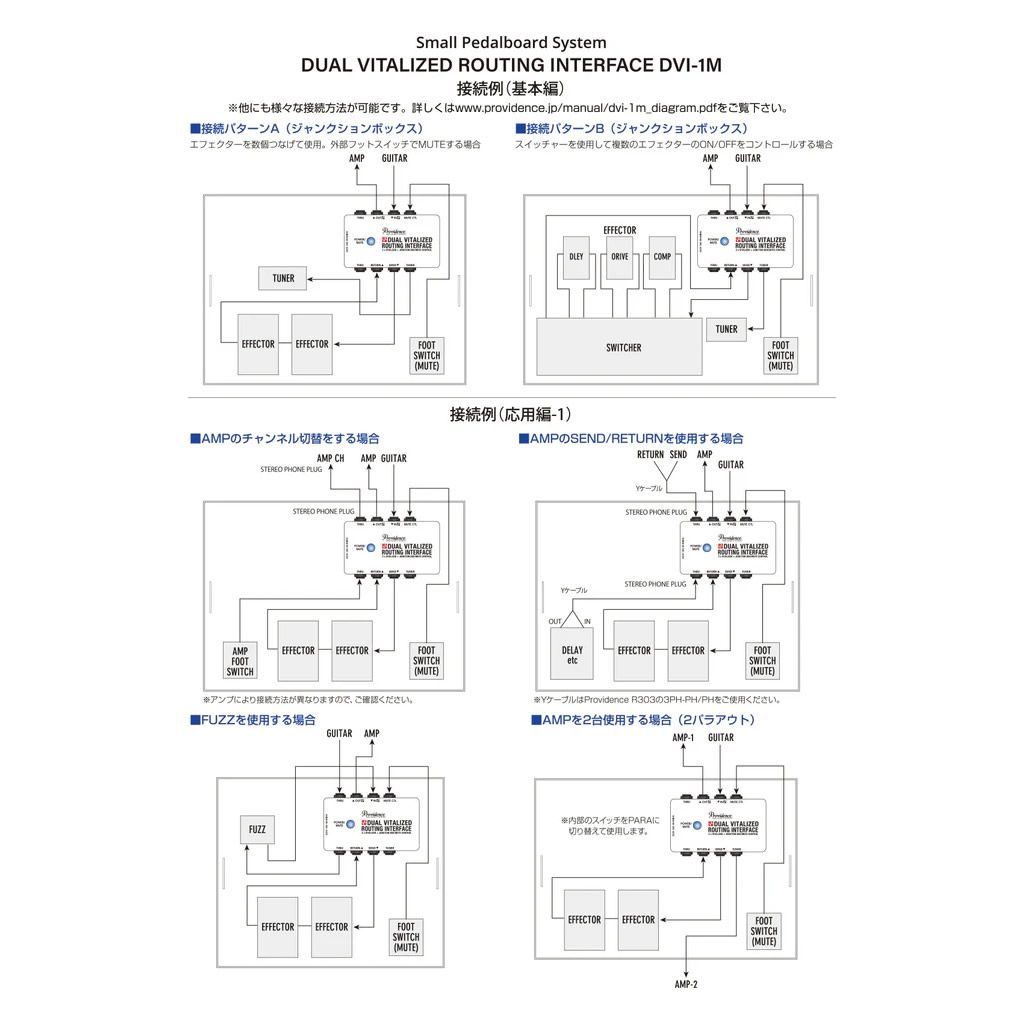 Providence DUAL VITALIZED ROUTING INTERFACE DVI-1M [2 x VITALIZER