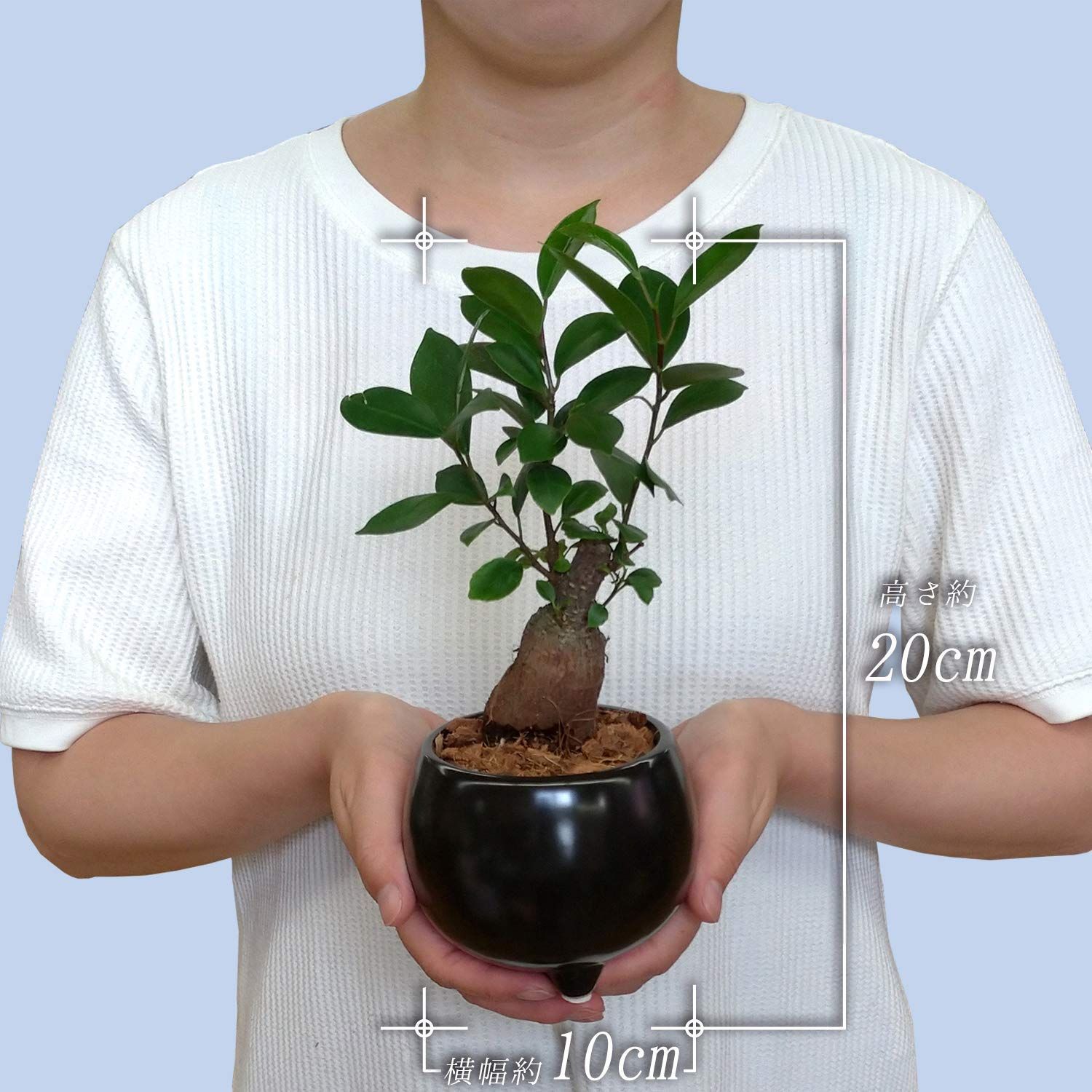 花のギフト社