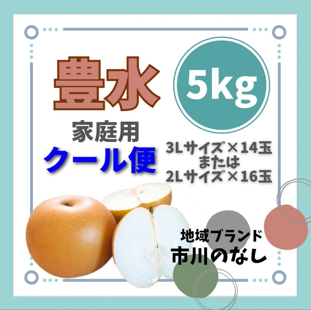 沖縄県産 グアバ B品 約5kg【常温便】⑪ M109847981オンライ