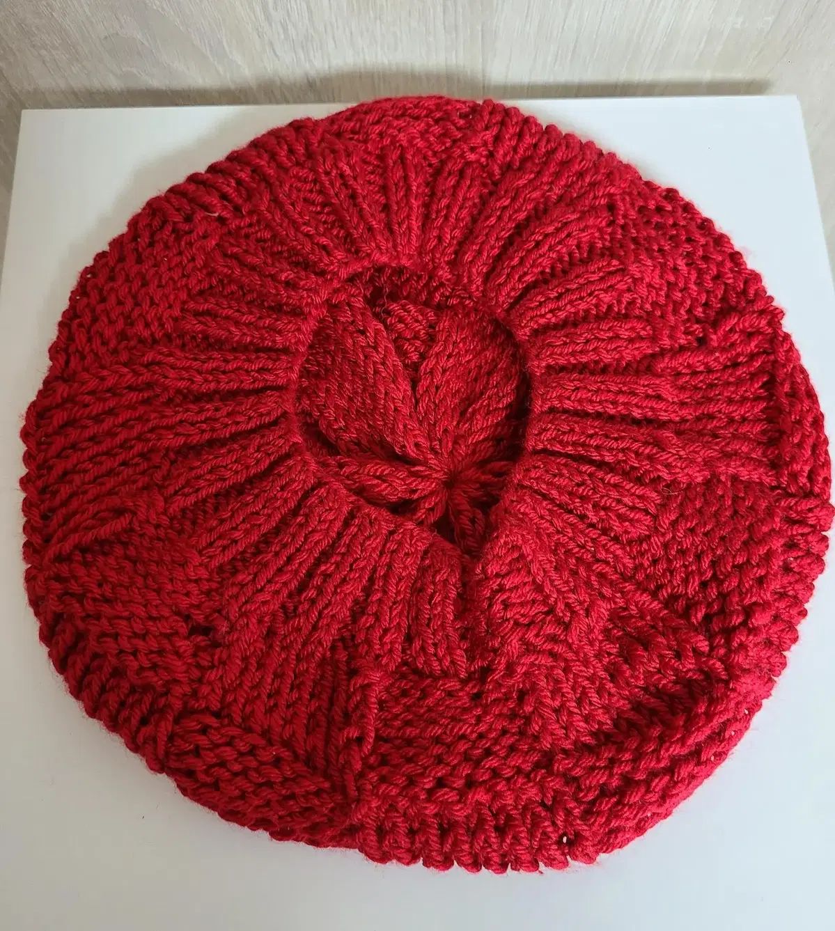 F1レーサー アイルトン セナ 写真パネル・壁掛パネル まとめて2点