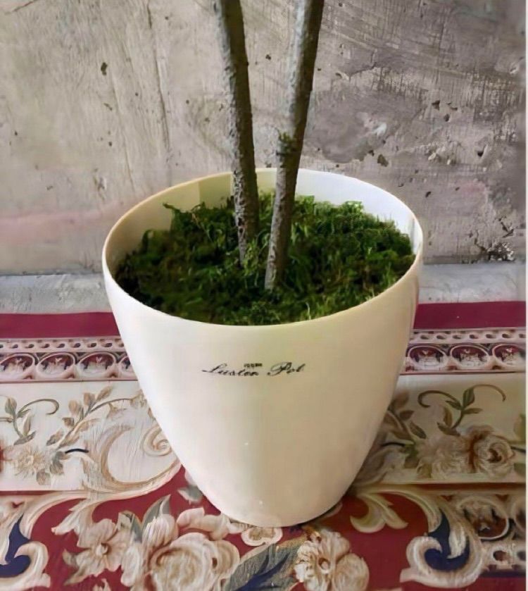 人工観葉植物