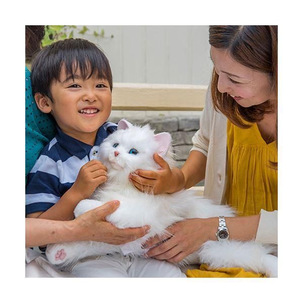 デジレクト しっぽふりふり あまえんぼうねこちゃん ホワイト 