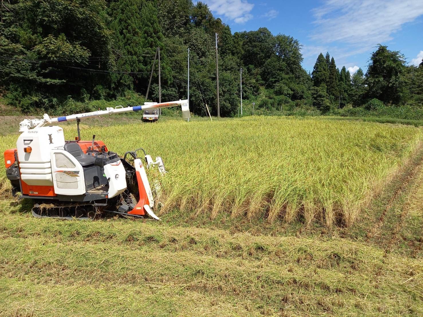 令和５年産 新潟コシヒカリ(長岡市_とちお産_希少)20㎏