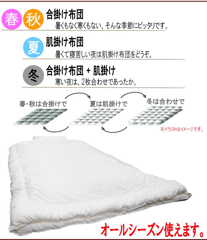 掛け布団 クイーン 2枚合わせ テイジン フィルケア 抗菌 防臭 日本製