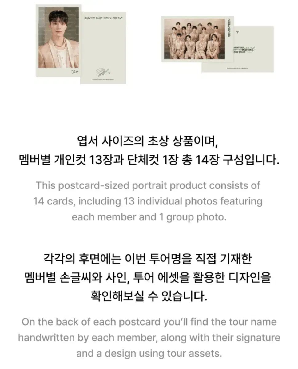 SEVENTEEN(セブンティーン・セブチ) 高揚化 WORLD TOUR ワールド