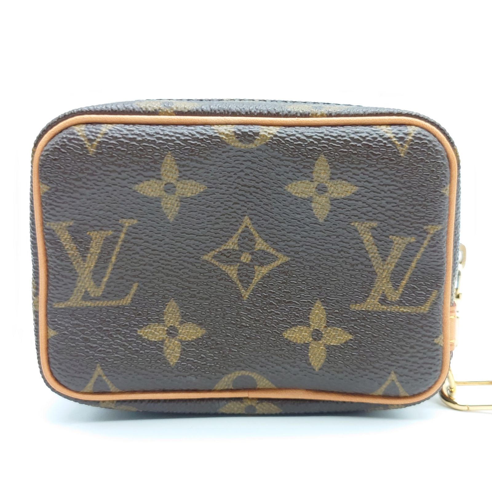 ルイヴィトン Louis Vuitton LV トゥルースワピティ バッグ