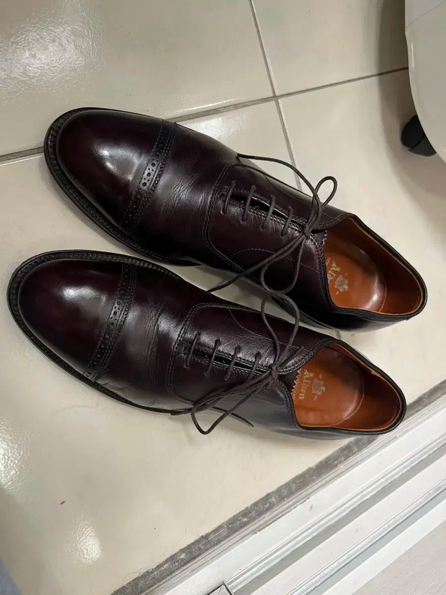 ALDEN オールデン alden 905 10D バーガンディー ストレートチップ