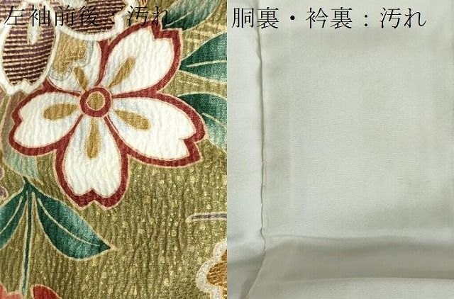 新入荷 レア種 アエオニウム オーロラ錦 (群生) 法師錦 観葉植物 多肉