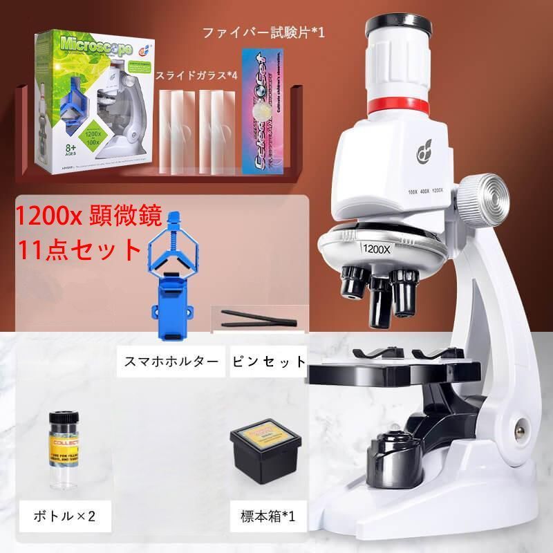 豆*虎様 【本日最終】ミニ四駆 MSフレキ アバンテ アズール 橋渡し