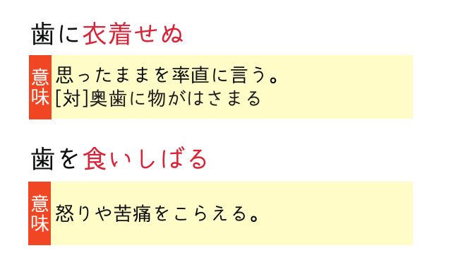 【069】中学受験国語の重要語句セット　サピックス　言葉ナビ上下対応　中学入試 Amazon.co.jp: 069 中学受験国語 重要語句カードセット 暗記