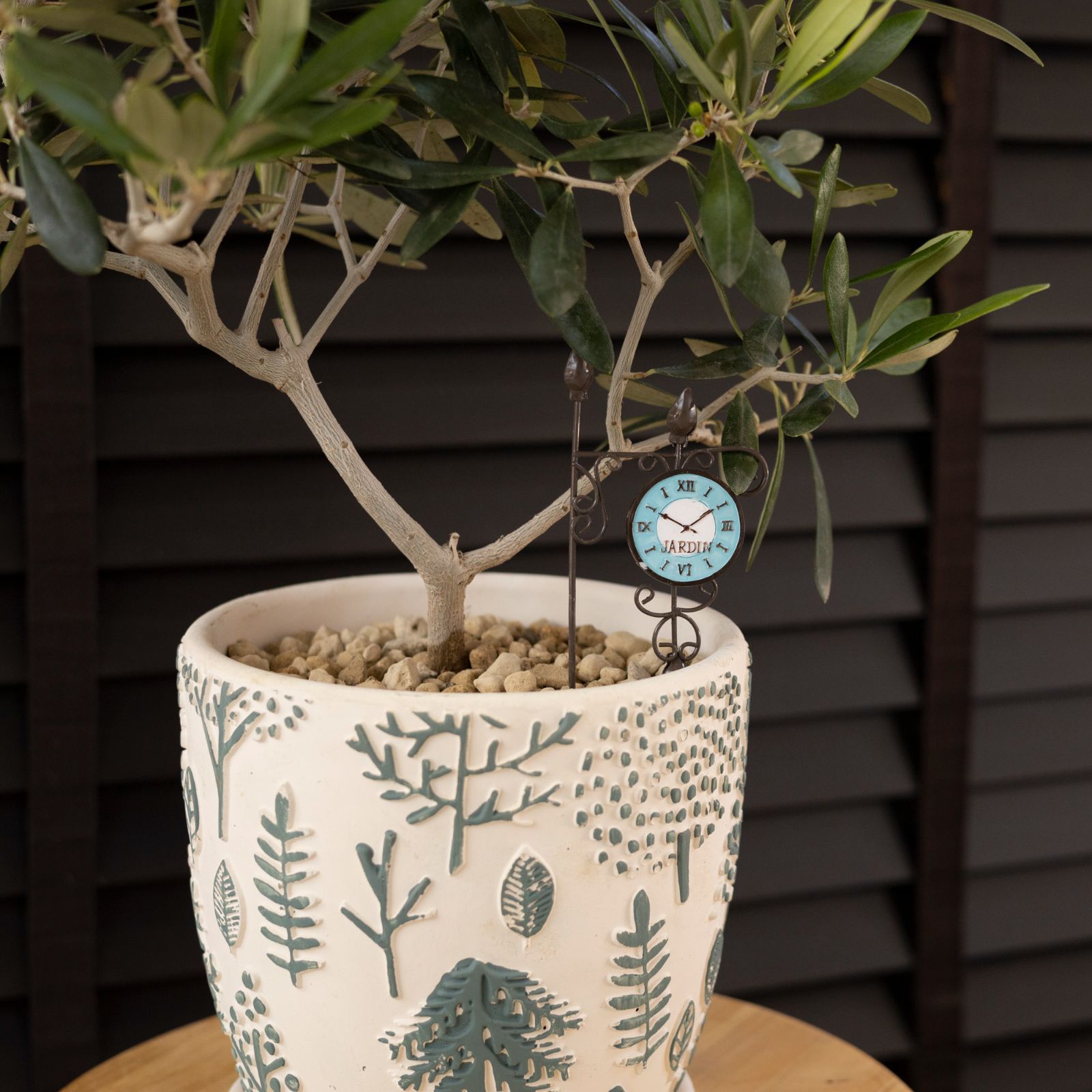 オリーブの木 J5