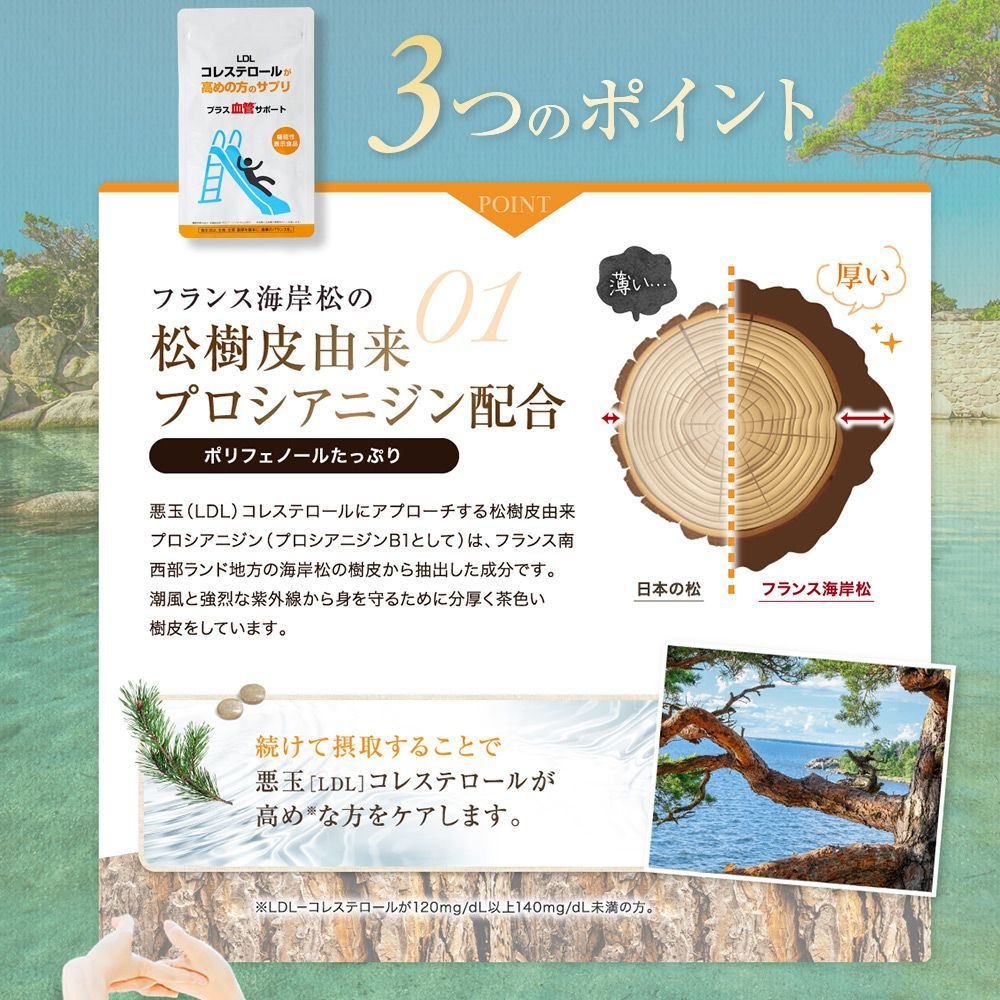 機能性表示食品 松樹皮由来 プロシアニジン 悪玉コレステロール 総 