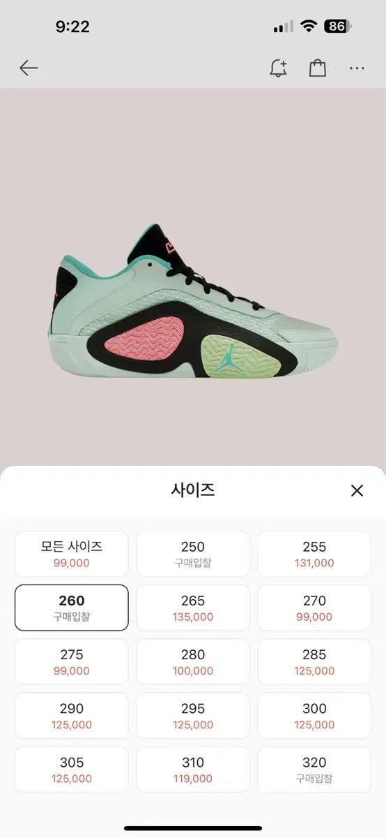 NIKE ナイキ ジョーダン テイタム 2 バスケットシューズ スニーカーズ ス 260mm