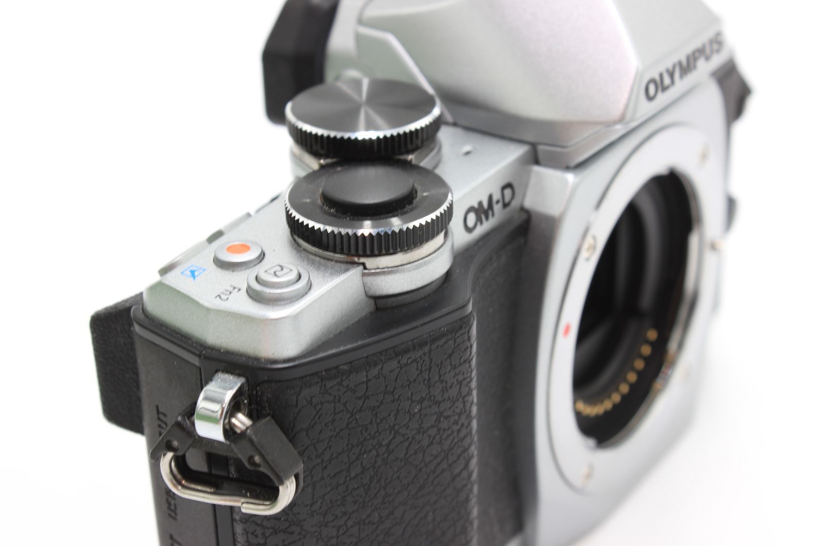 OM-D E-M10