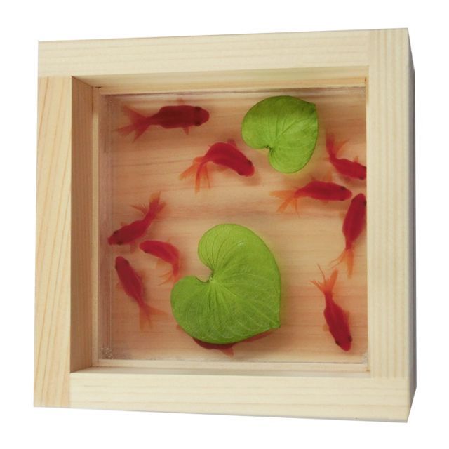 アクリル 3D 金魚アート 咲 プレゼント 結婚 フィギュア 動物 生き物