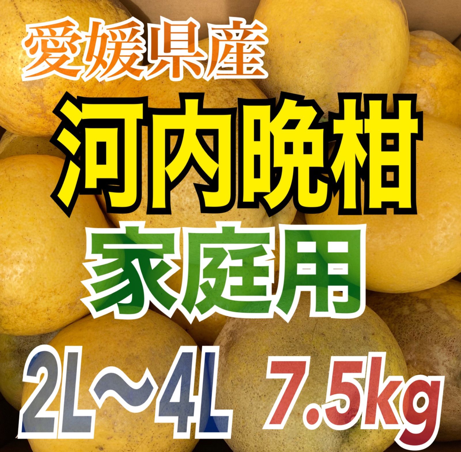 (常温便)愛媛県産　河内晩柑 等級（青秀）L〜3L 7.5kg(箱込)