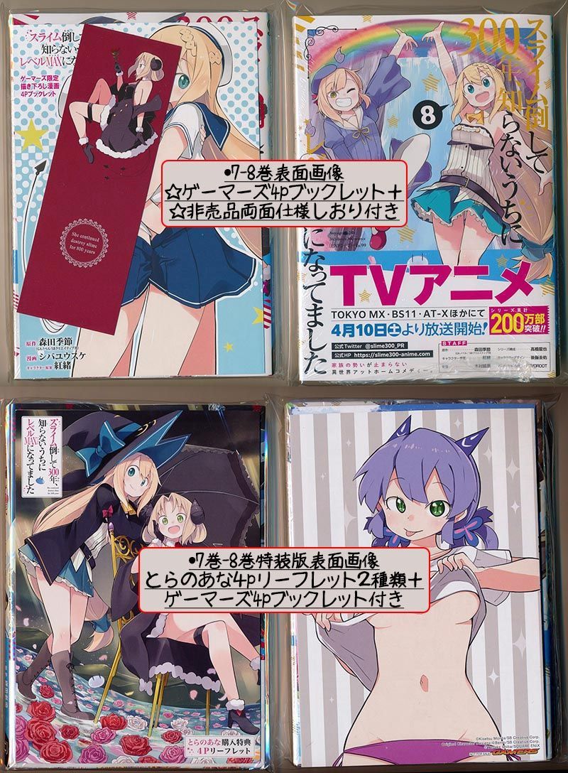 スライム倒して300年、知らないうちにレベルMAXになってました1