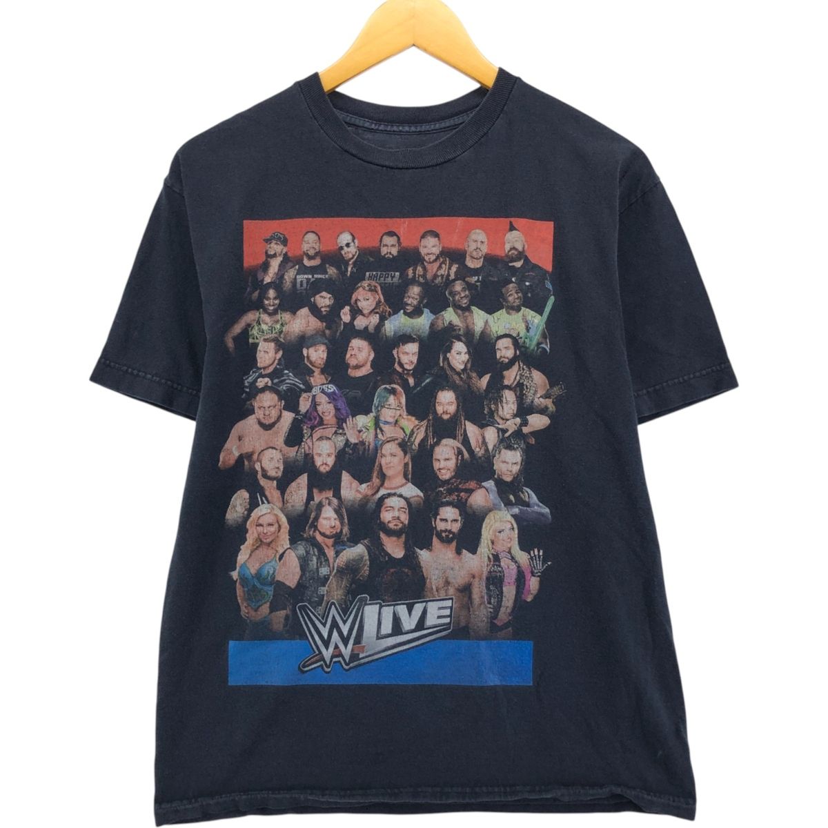 WWE プロレス　ヴィンテージ　Tシャツ　Mサイズ ヴィンテージ 90年代 WWE D-ジェネレーション X トリプルH