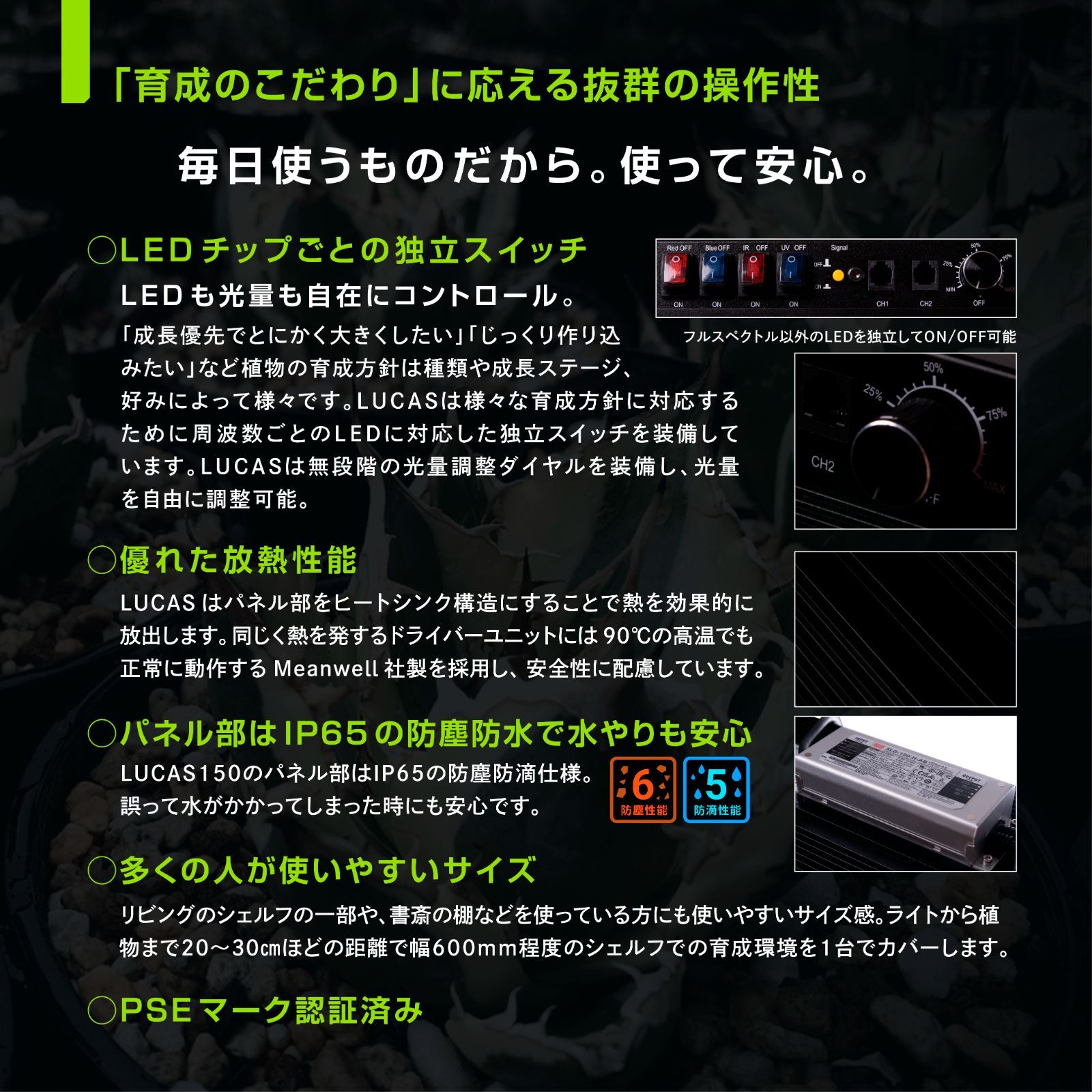 育成を