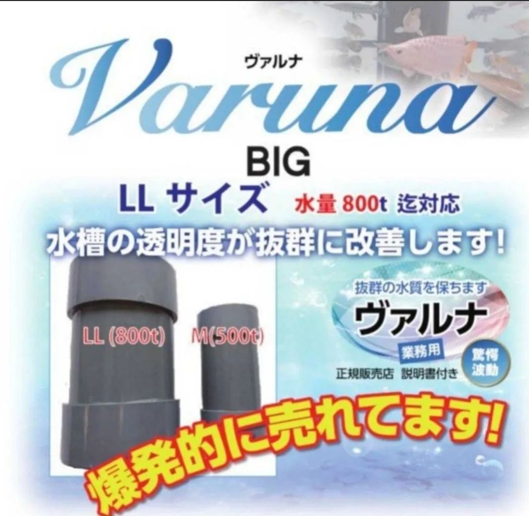 ヴァルナ 【池用】 池に投げ込むだけで500トン浄化します！透明度アップにどうぞ 魚のエサ