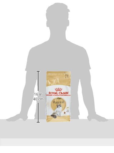 2kg×3袋】ロイヤルカナン メインクーン (猫・キャット)[正規品] ROYAL