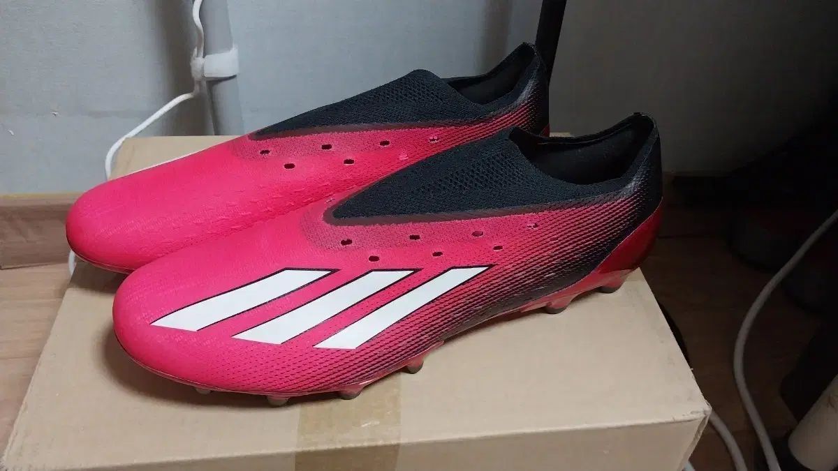 珊瑚 長方形鉢 渡辺一興