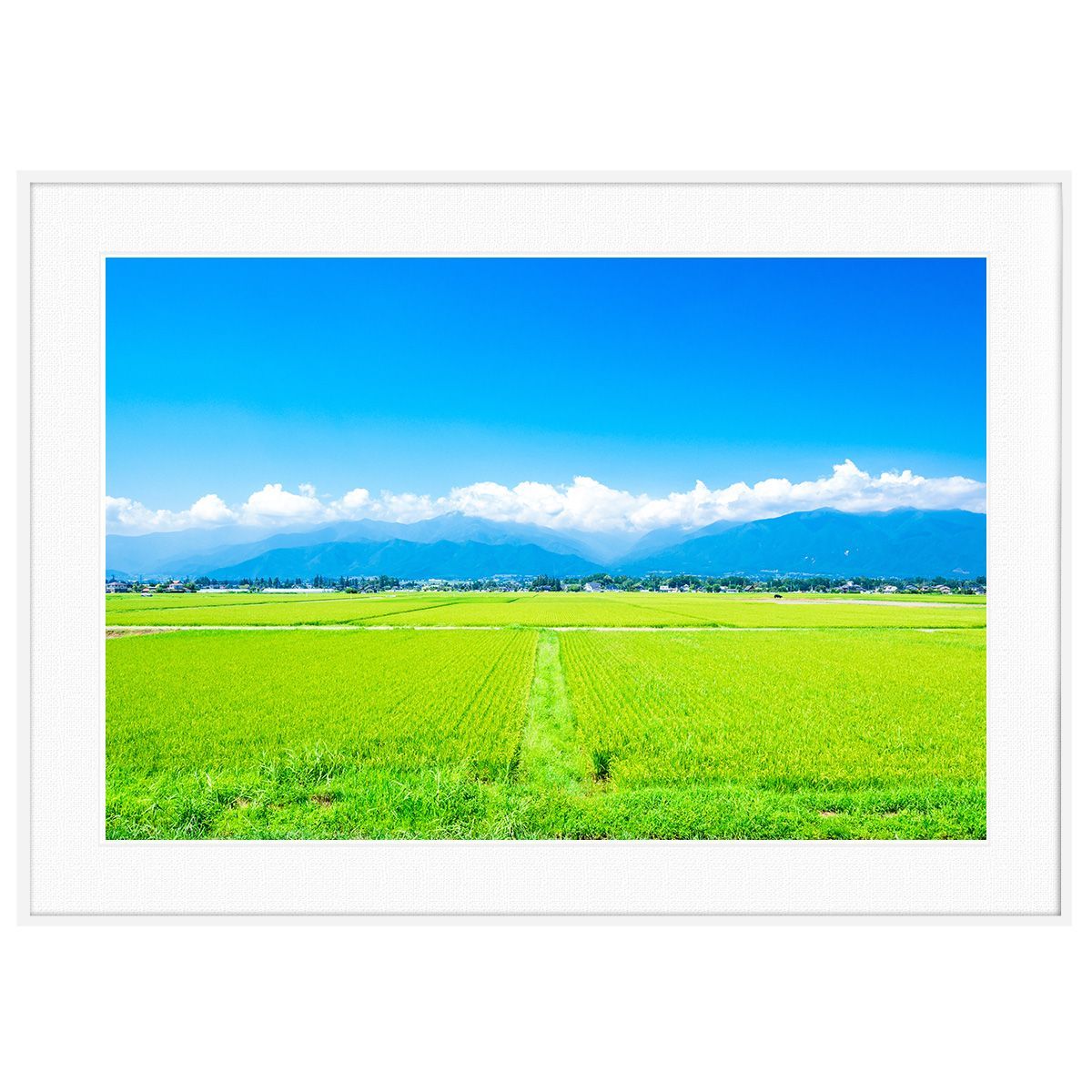 夏写真 日本 信州 長野県安曇野の田園風景 インテリアアートポスター