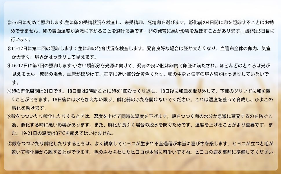 鶏卵