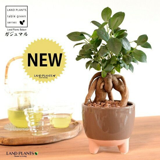 木版画 奥村土牛「牡丹」日本経済新聞社日経カルチャーサービスシール付