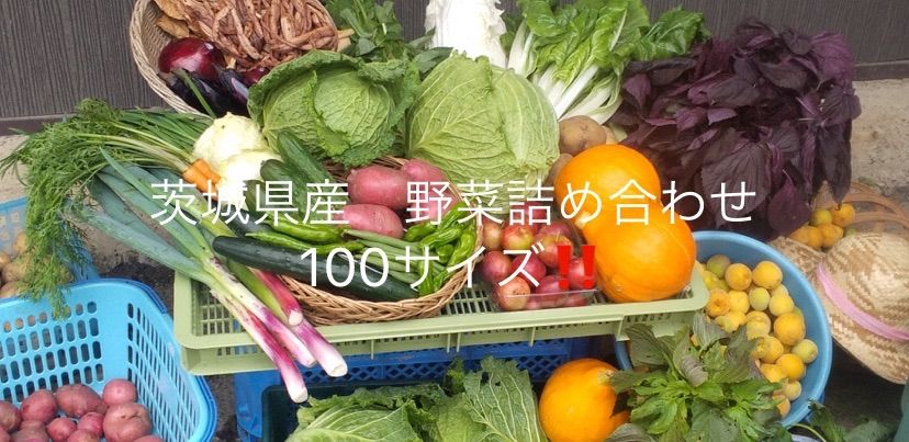 【まるで仕送り便】茨城県産旬の野菜・果物詰め合わせBOX 100サイズ